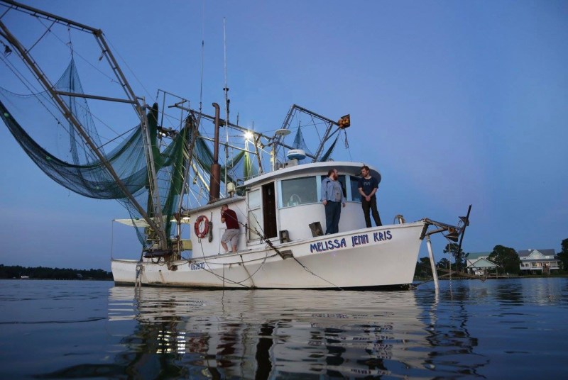 14324139_10153925129452947_8344477694873073062_o